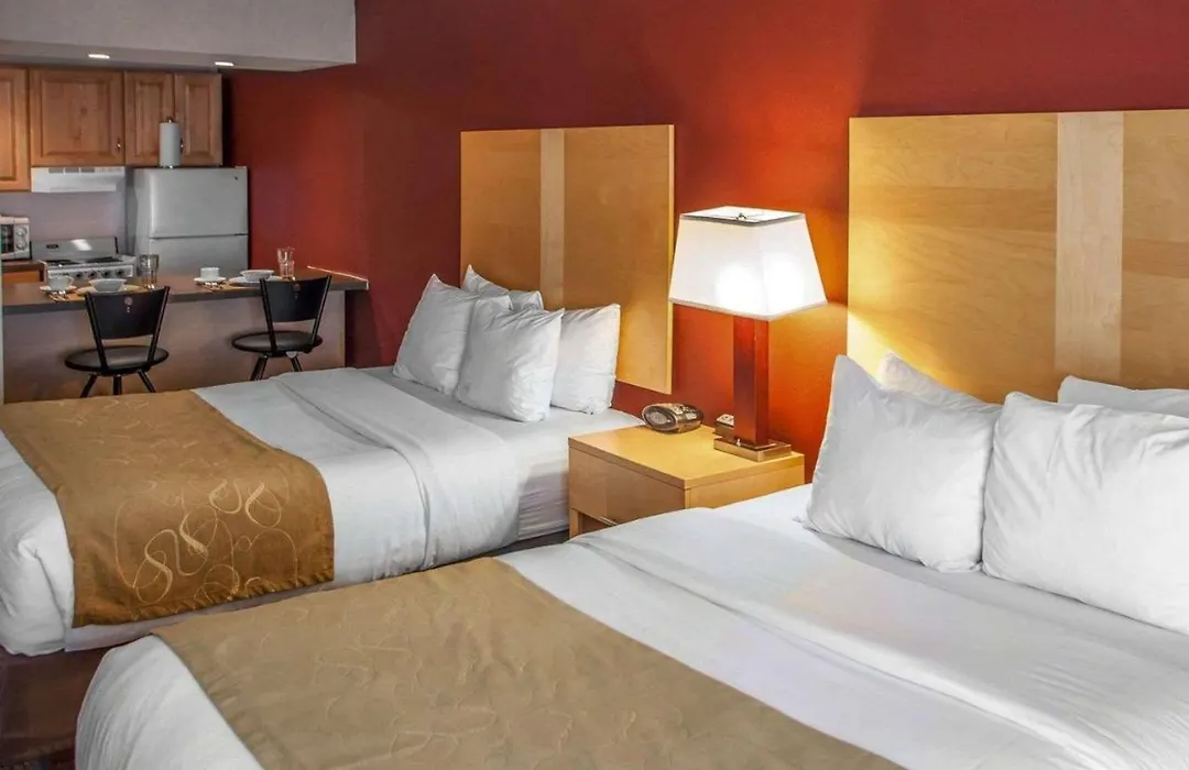 Comfort Suites Michigan Avenue-1