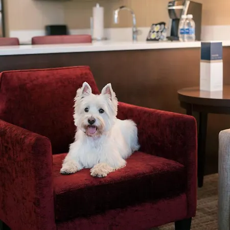 Residence Inn By Marriott Chicago Downtown/Loop-3