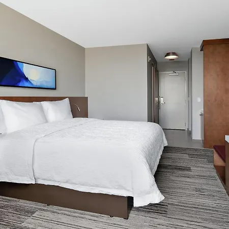 Hilton Garden Inn Chicago Mccormick Place-2