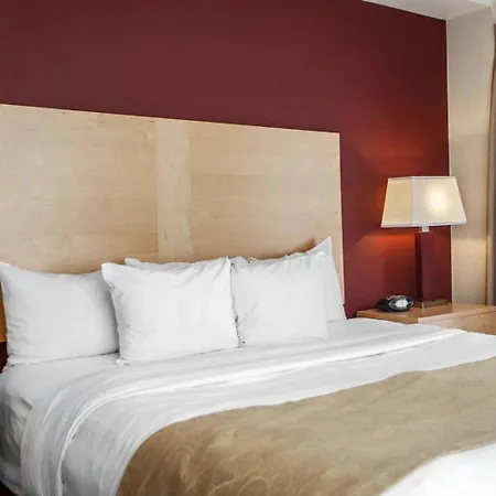 Comfort Suites Michigan Avenue-3